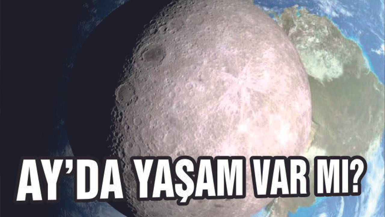 AY'A GÖNDERİLEN TOHUMLAR FİLİZLENDİ