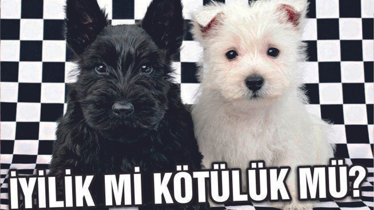 İYİLİK Mİ KÖTÜLÜK MÜ?