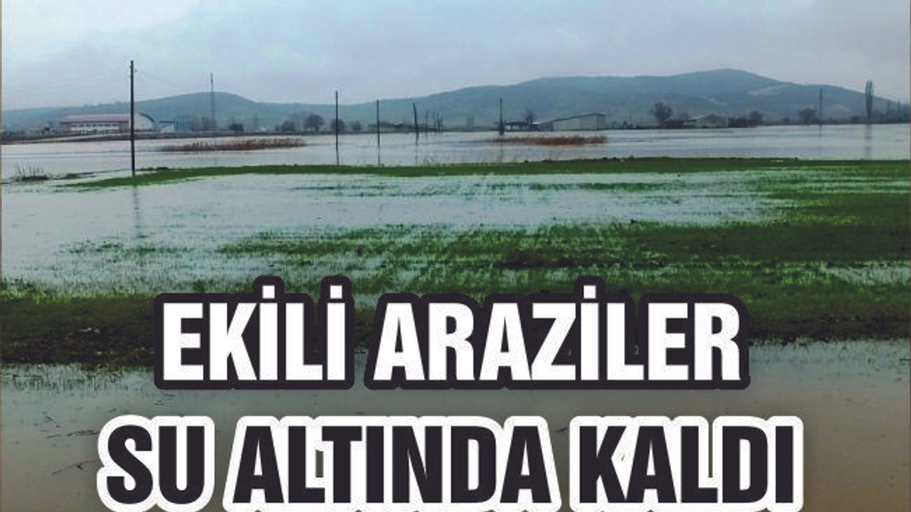BİGADİÇ'TE EKİLİ ARAZİLER SU ALTINDA KALDI