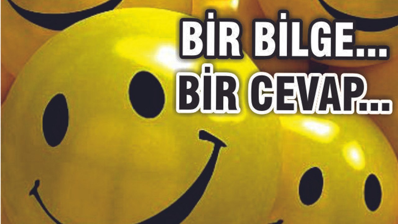 MUTLULUĞUN SIRRI SİZCE NEDİR?