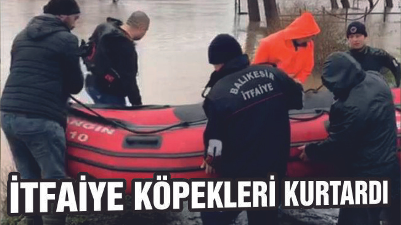 MAHSUR KALAN KÖPEKLER KURTARILDI