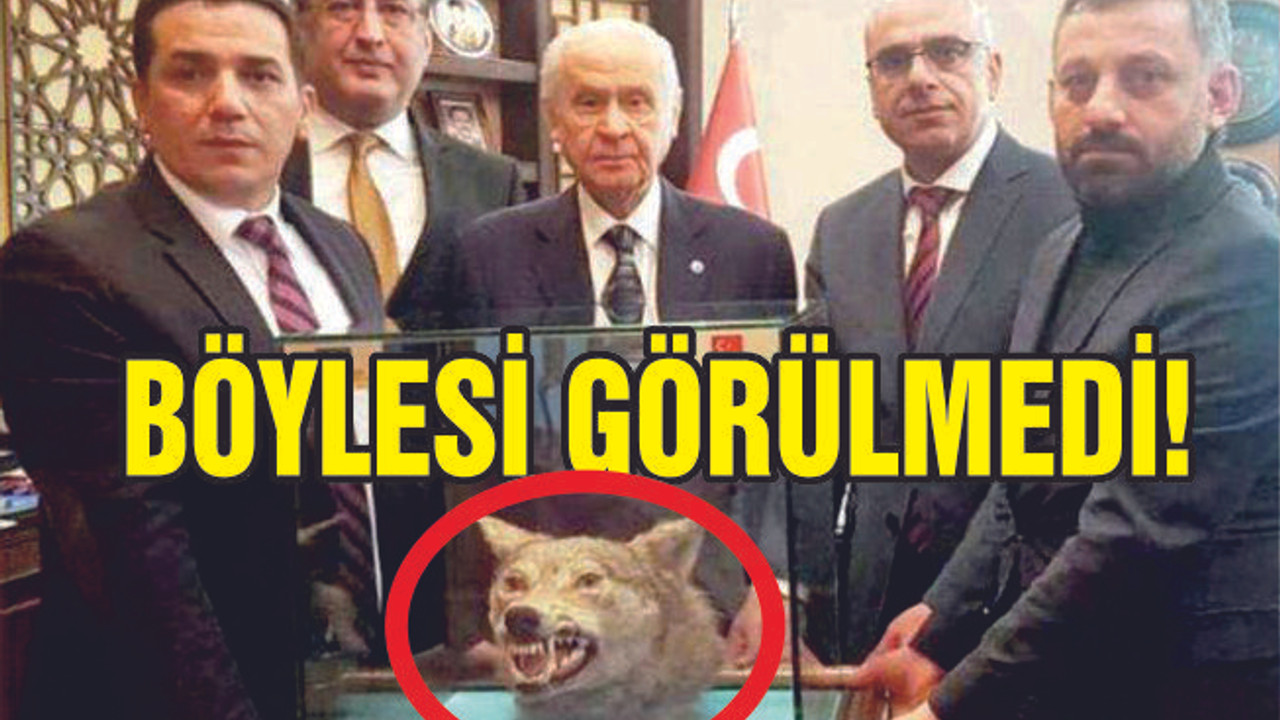 BÖYLESİ GÖRÜLMEDİ!