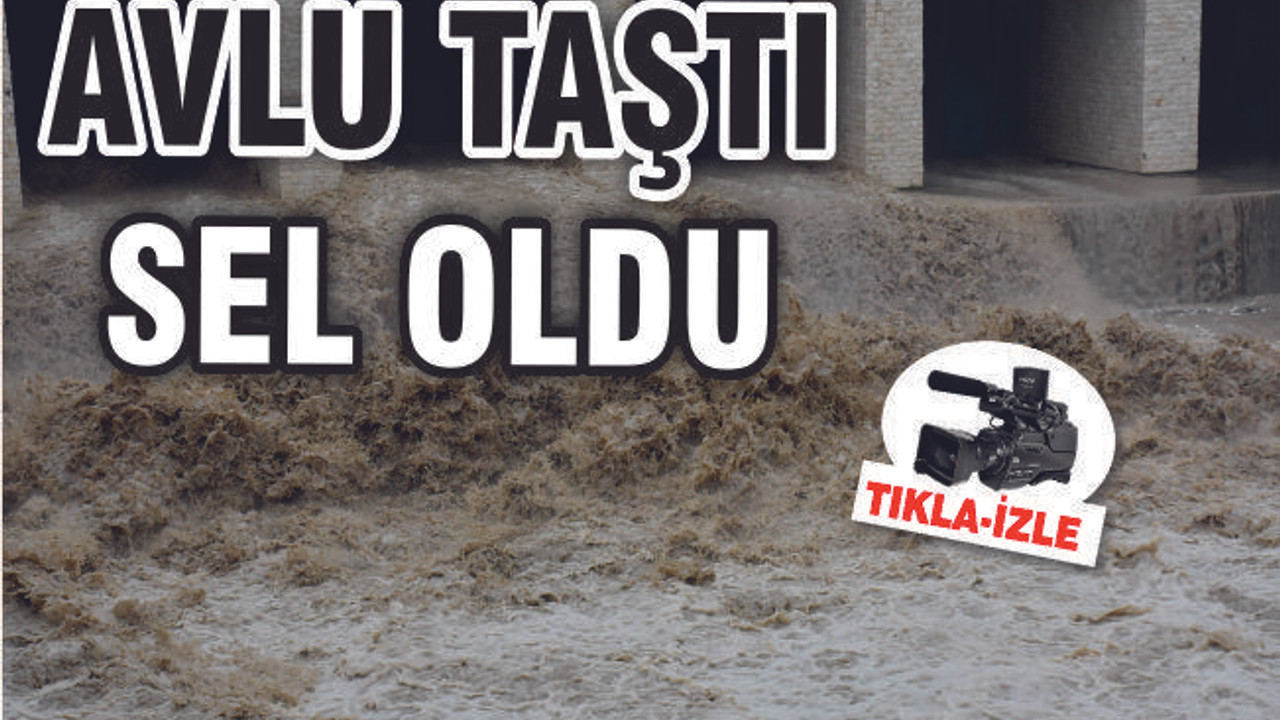 AVLU TAŞTI SEL OLDU