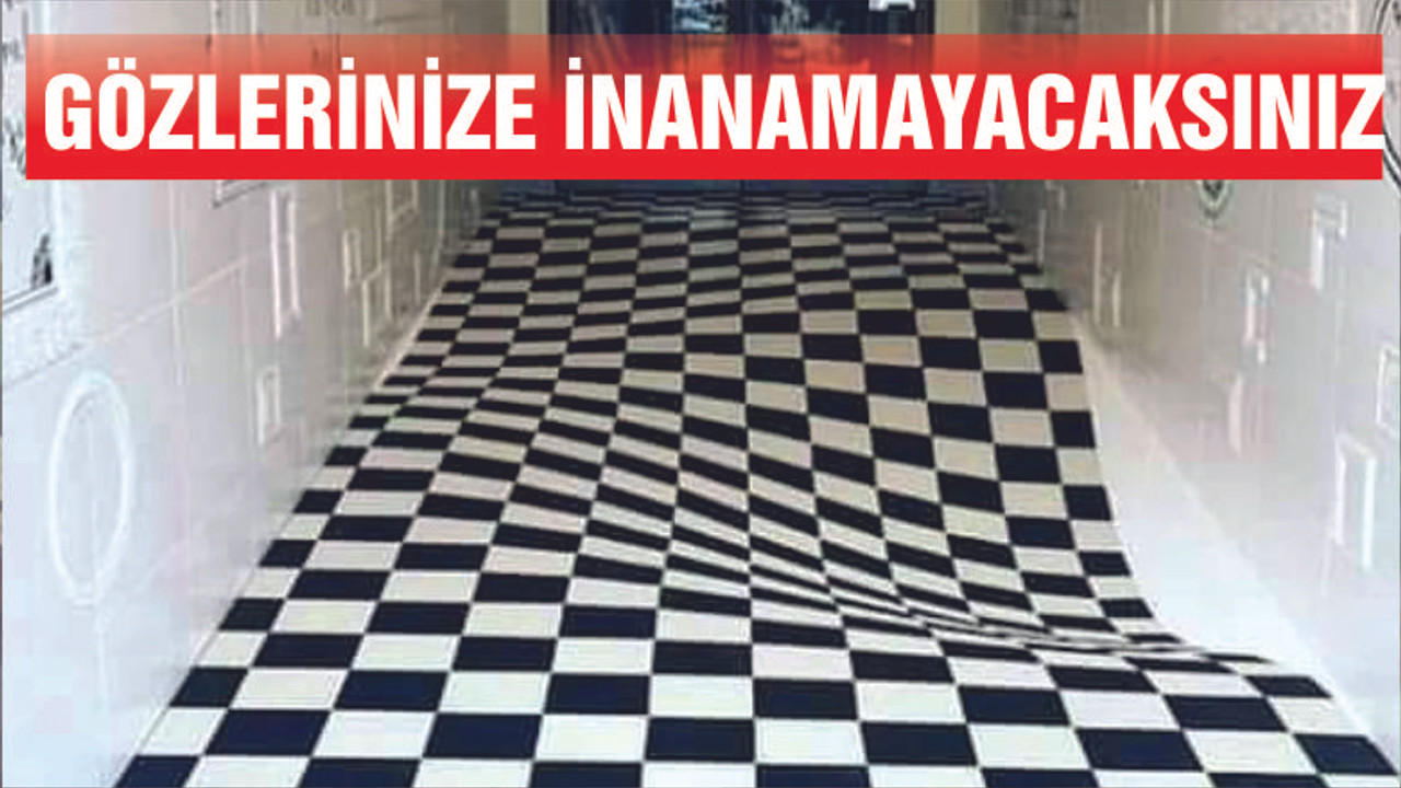 ÜÇ BOYUTLU RESİMLER