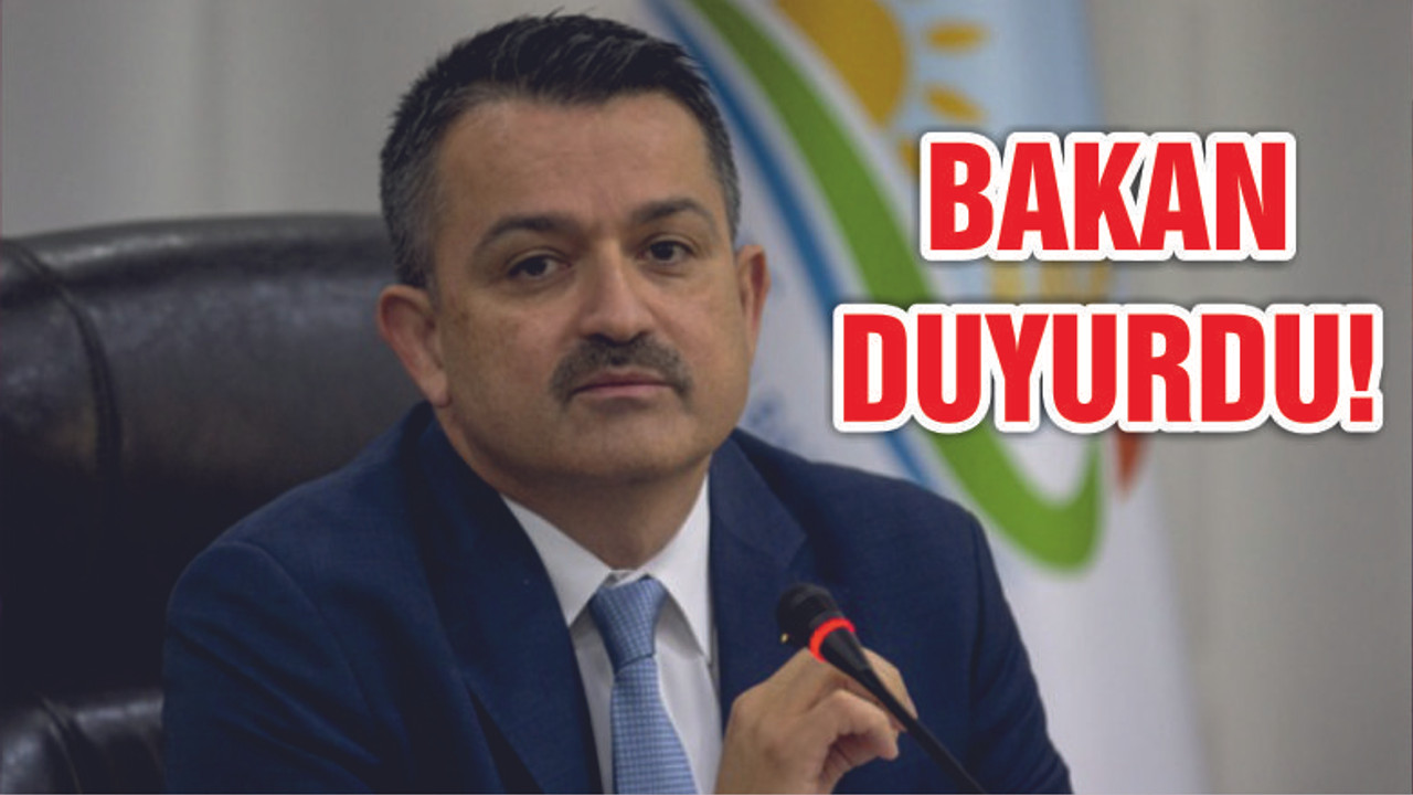 Bakan Pakdemirli duyurdu! Yüzde 30 daha fazla ödeme yapılacak