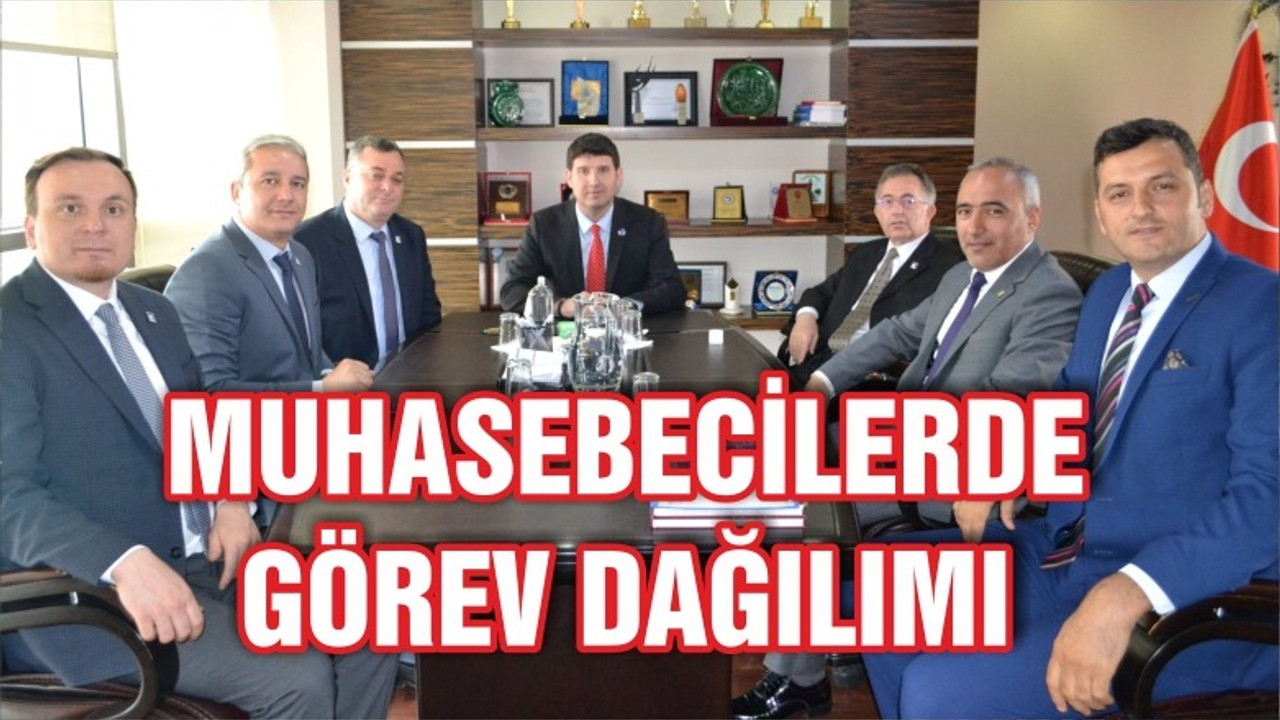 MUHASEBECİLERDE GÖREV DAĞILIMI