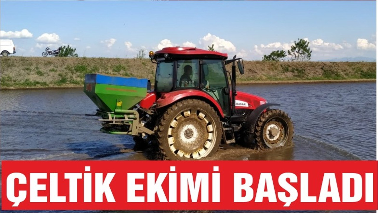 ÇELTİK EKİMİ BAŞLADI