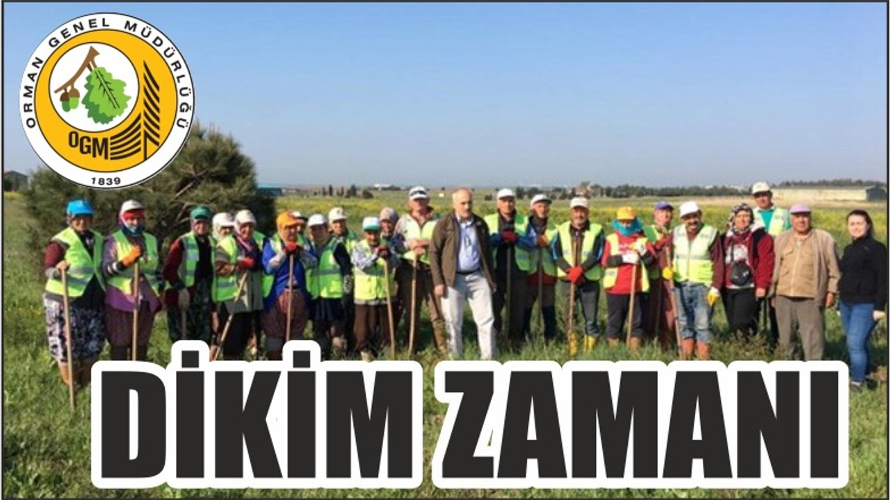 DİKİM ZAMANI
