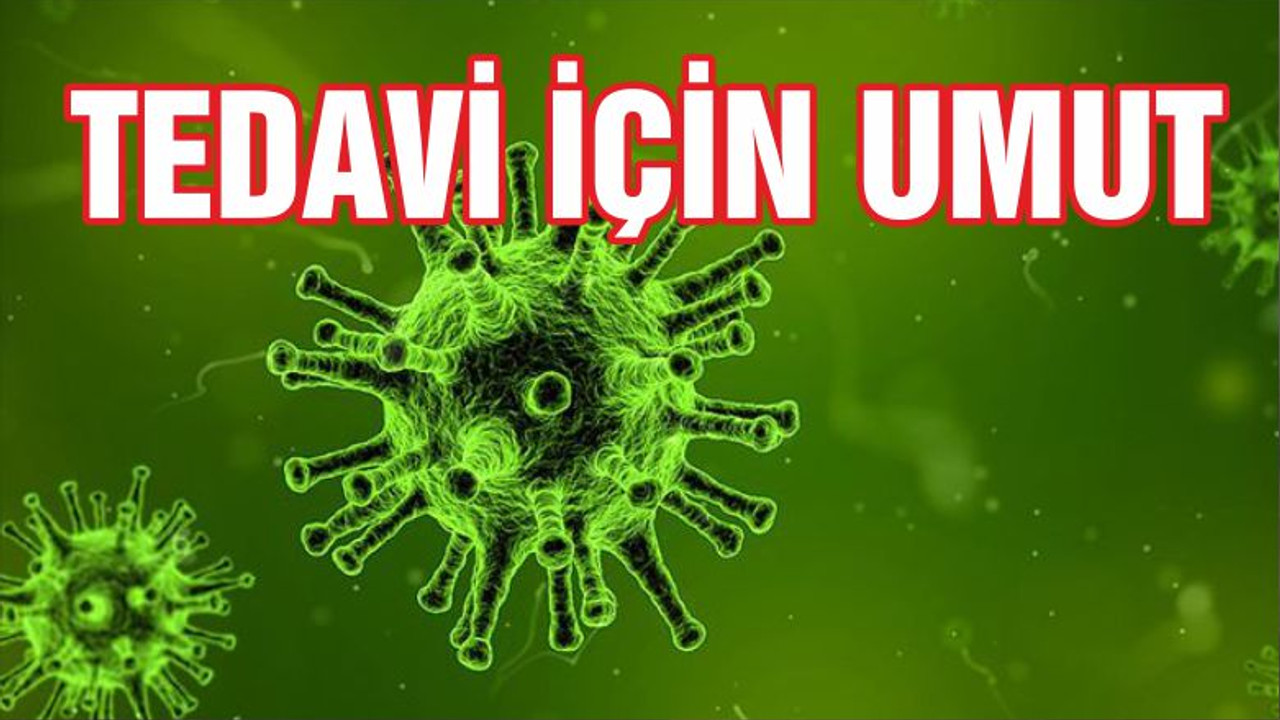 Virüslerde keşfedilen özellik tedavi için umut olabilir