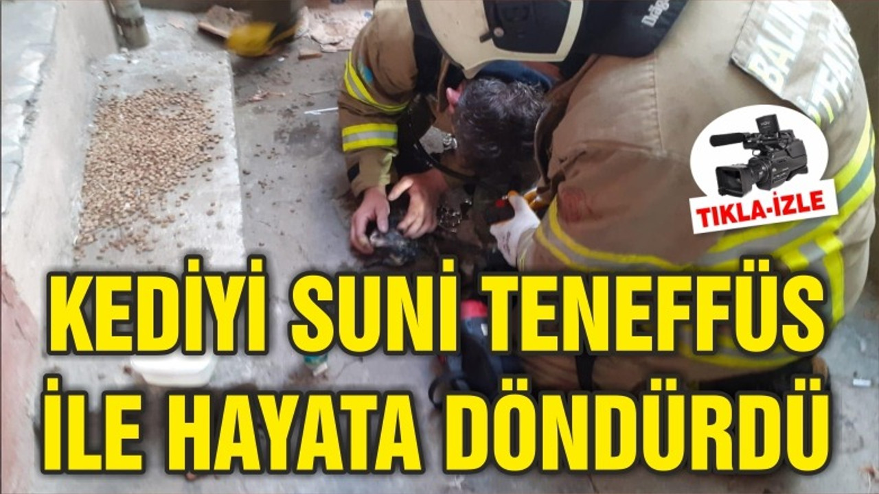 KEDİYİ SUNİ TENEFFÜSLE HAYATA DÖNDÜRDÜ