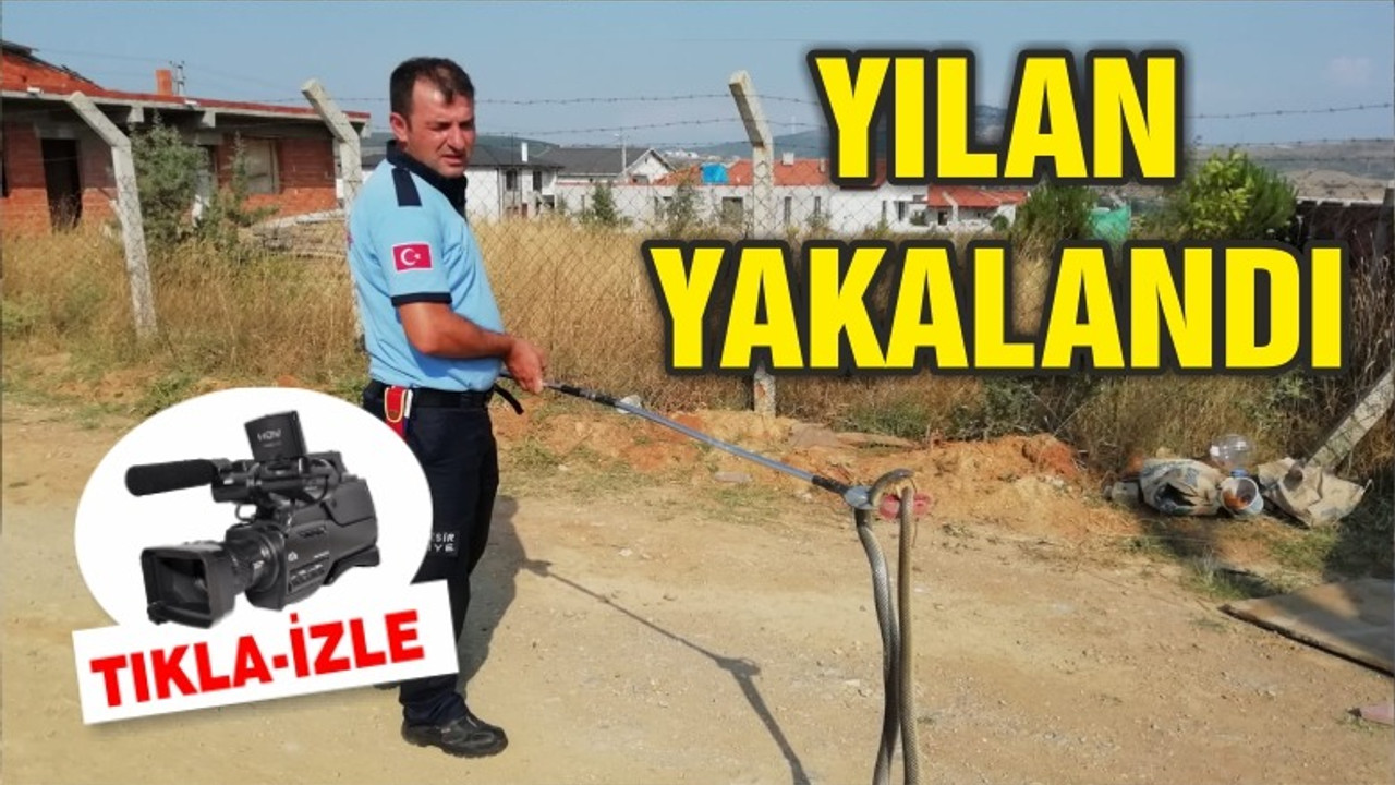 EVİN GARAJINDA YILAN YAKALANDI