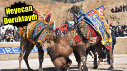 Heyecan Doruktaydı