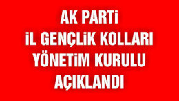 Ak Parti İl Gençlik Kolları Yönetim Kurulu Açıklandı