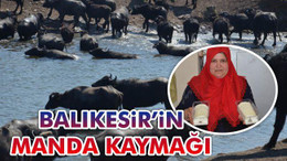 Balıkesir'in Manda Kaymağı