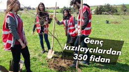 Genç kızılaycılardan 350 fidan
