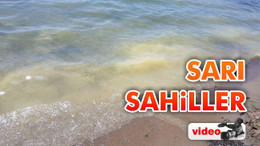 Sarı sahiller
