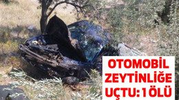 OTOMOBİL ZEYTİNLİĞE UÇTU: 1 ÖLÜ