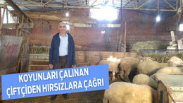 Koyunları çalınan çiftçiden hırsızlara çağrı