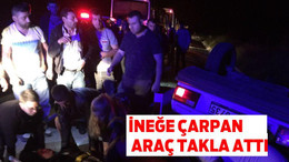 İneğe çarpan araç takla attı