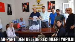 Ak Parti'den delege seçimleri yapıldı