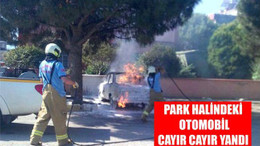 Park halindeki otomobil cayır cayır yandı