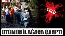 Otomobil ağaca çarptı: 1 ölü, 2 yaralı