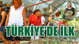 Türkiye’nin İlk Kaktüs Festivali