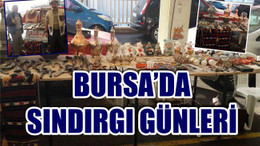 BURSA'DA SINDIRGI GÜNLERİ