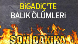 BİGADİÇ'TE BALIK ÖLÜMLERİ ENDİŞE YARATTI