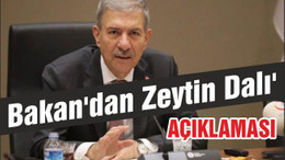 Bakan'dan Zeytin Dalı'yla ilgili çok kritik bilgi