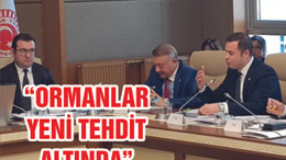 “ORMANLAR YENİ TEHDİT ALTINDA”