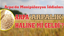 ARPA ‘ARPALIK’ HALİNE Mİ GELDİ’?