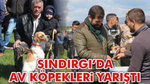 Sındırgı'da av köpekleri yarıştı