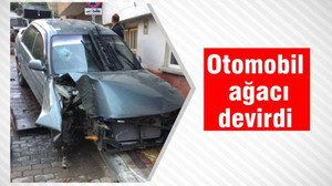 Otomobil ağacı devirdi