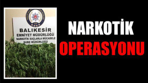NARKOTİK OPERASYONU