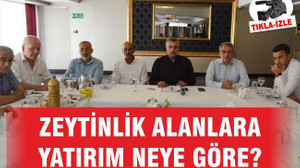 ZEYTİNLİK ALANLARA YATIRIM NEYE GÖRE?