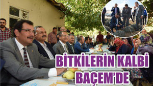 BİTKİLERİN KALBİ BAÇEM’DE