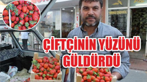 Organik Çilek Çiftçinin Yüzünü Güldürdü