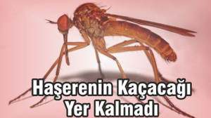İLERİ TEKNOLOJİ İLE HAZIRLANMIŞLAR