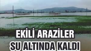 BİGADİÇ'TE EKİLİ ARAZİLER SU ALTINDA KALDI