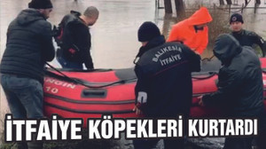 MAHSUR KALAN KÖPEKLER KURTARILDI