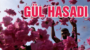 ‘Güller diyarı’nda hasat zamanı