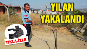 EVİN GARAJINDA YILAN YAKALANDI