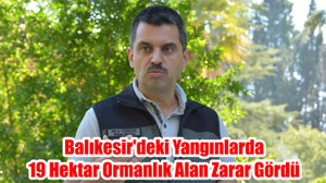 Balıkesir'deki Yangınlarda 19 Hektar Ormanlık Alan Zarar Gördü