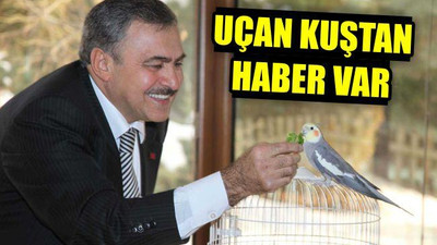 Uçan Kuştan Haber Var