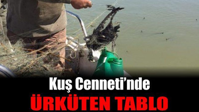 Kuş Cenneti’nde Ürküten Tablo