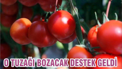 O TUZAĞI BOZACAK DESTEK GELDİ