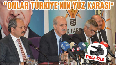 "ONLAR TÜRKİYE'NİN YÜZ KARASI"