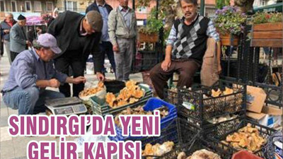 SINDIRGI’DA YENİ GELİR KAPISI