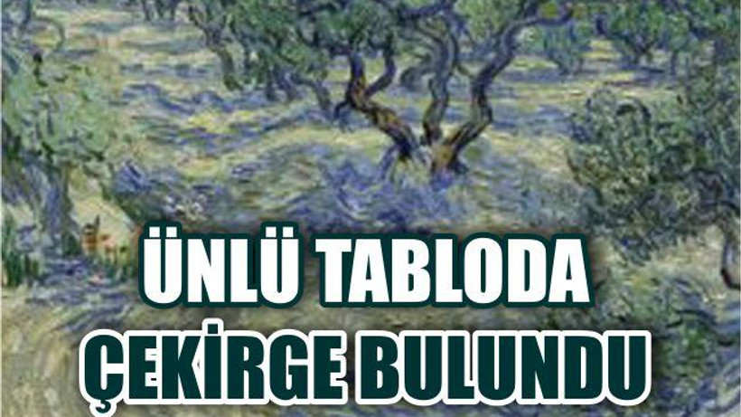 Van Gogh'un Tablolarından Birinde Çekirge Bulundu